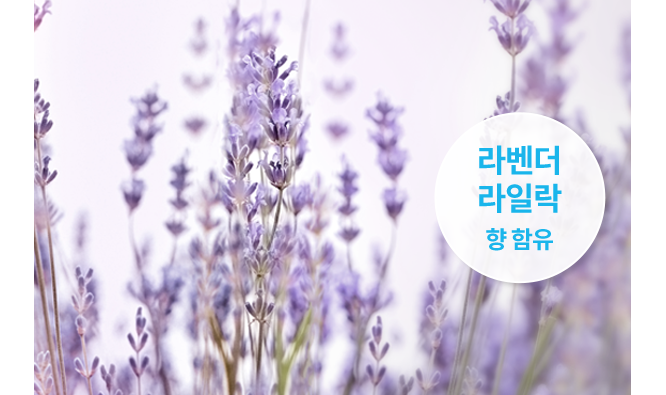 BB16-A 공식 제품 설명