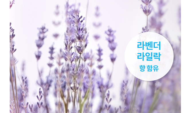 BB17-A 공식 제품 설명