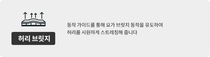 허리 브릿지